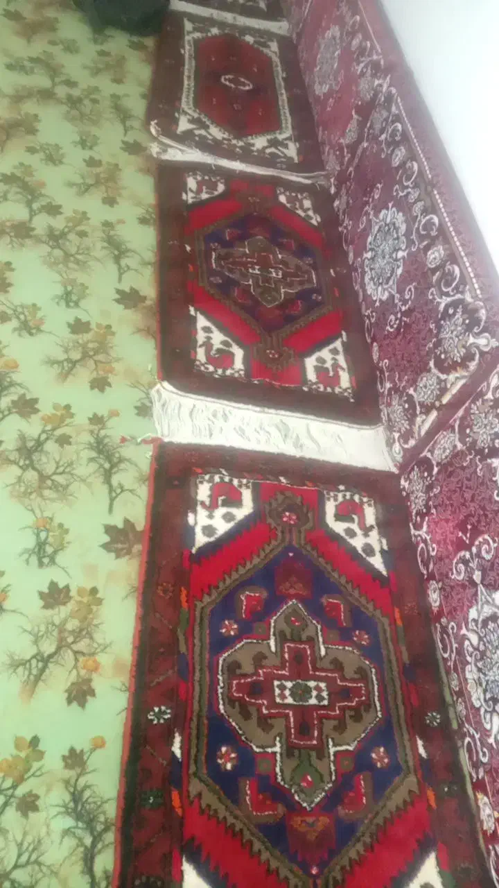 فرش زرچرک|فرش|زنجان, |دیوار