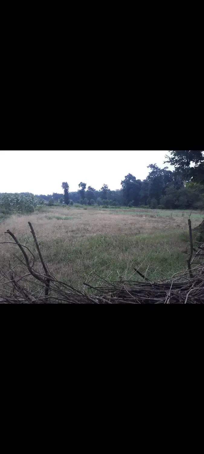 زمین در روستایی سنگستان|فروش زمین و ملک کلنگی|آزادشهر, |دیوار