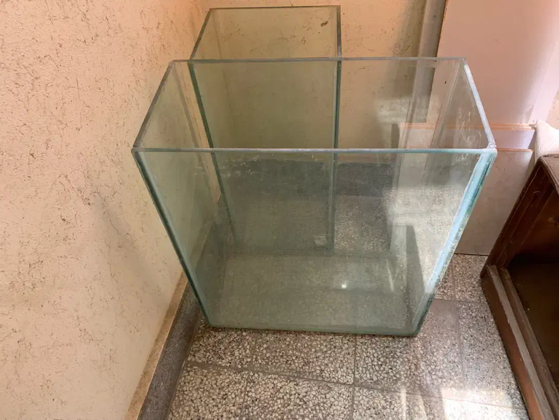 اکواریوم|ماهی|صدرا-فارس, فاز ۱|دیوار