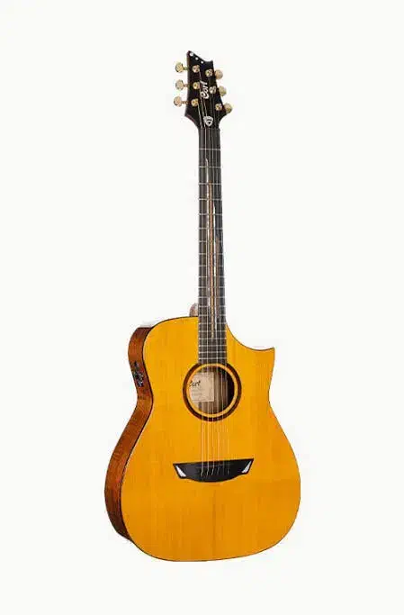 گیتار|گیتار، بیس، امپلیفایر|بندر انزلی, آذربایجان|دیوار