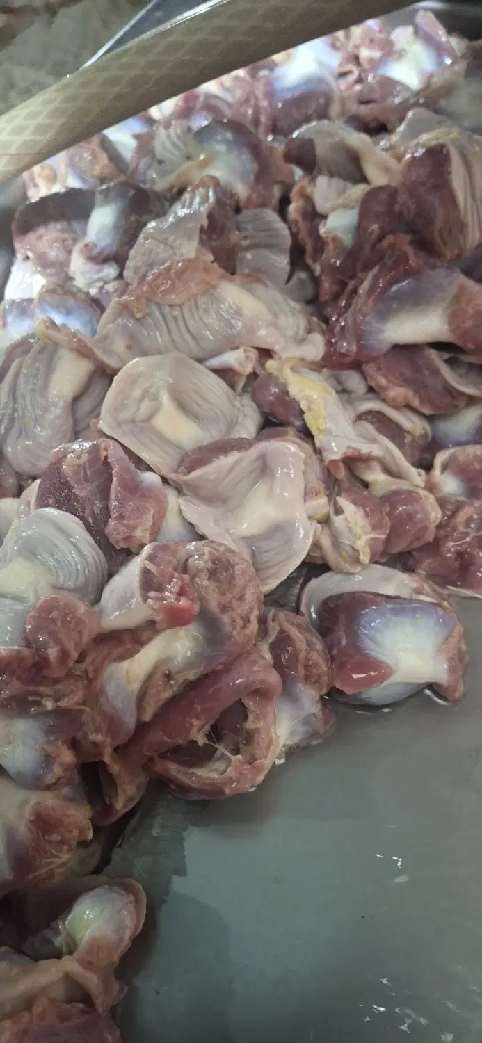 سنگدان|خوردنی و آشامیدنی|اهواز, عین ۲|دیوار