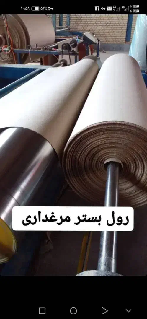 رول بستر مرغداری|حیوانات مزرعه|میناب, |دیوار