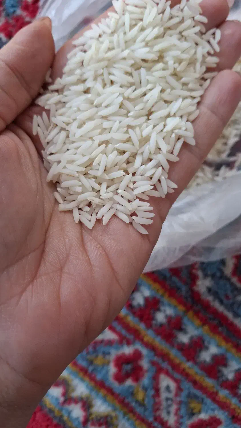 برنج هاشمی درجه یک|خوردنی و آشامیدنی|سنگر, |دیوار