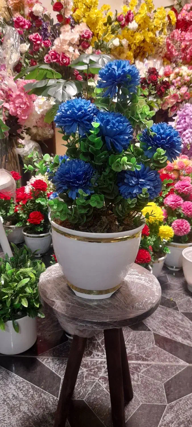 گل داوودی و مخمل|گل مصنوعی|قم, نیروگاه|دیوار