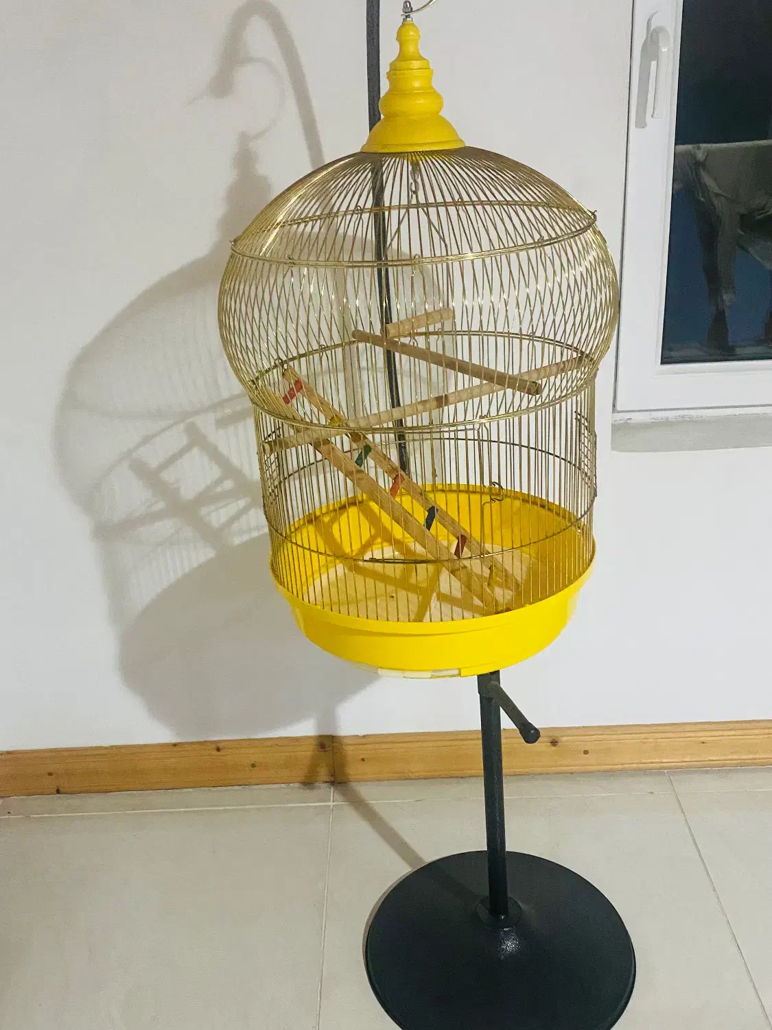 قفس پرنده با پایه|لوازم جانبی حیوانات|نوشهر, |دیوار