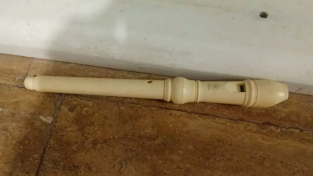 فلوت یاماها اصلی نو|سازهای بادی|ساری, |دیوار