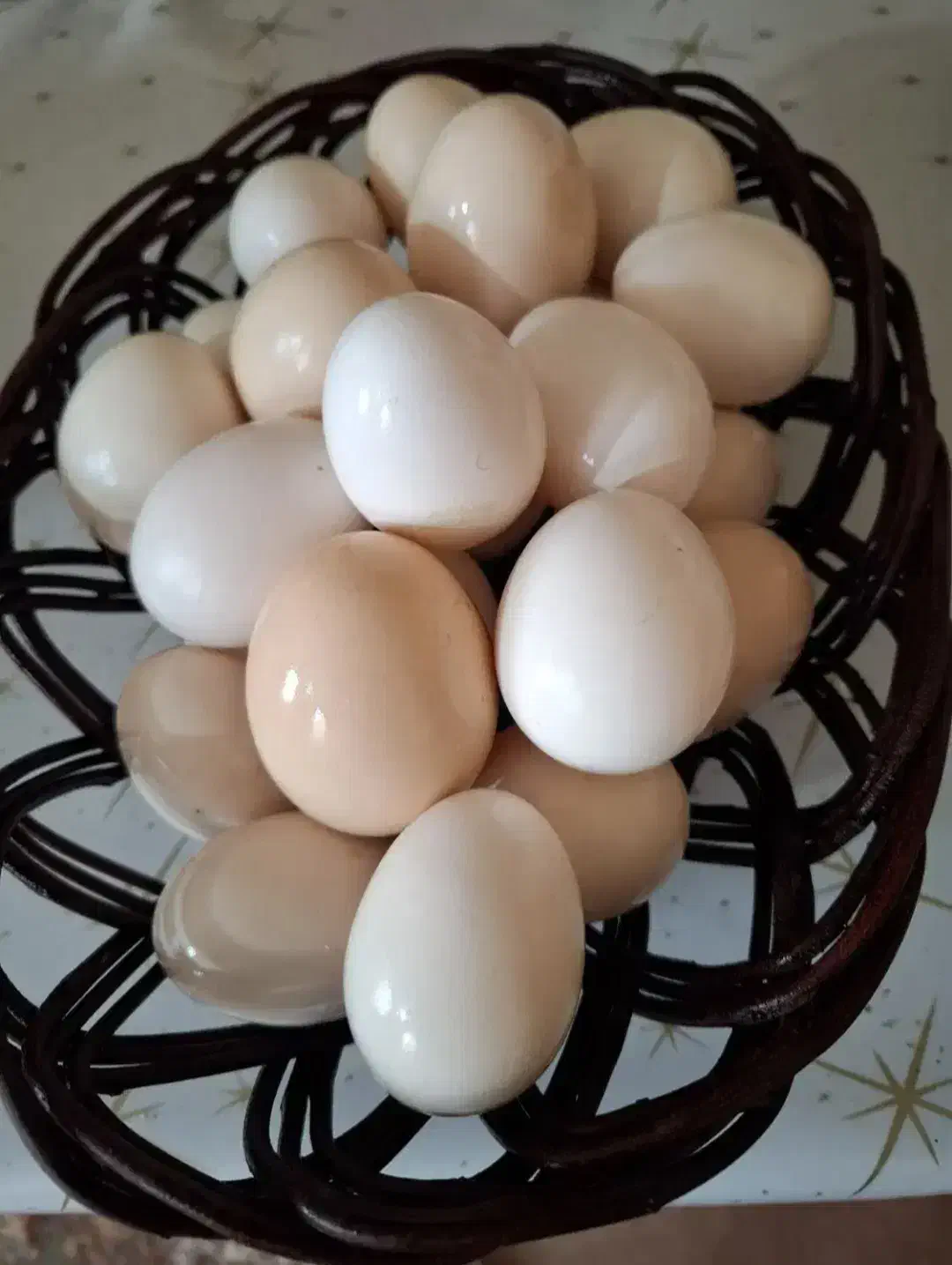 تخم مرغ محلی تازه|خوردنی و آشامیدنی|بجنورد, |دیوار