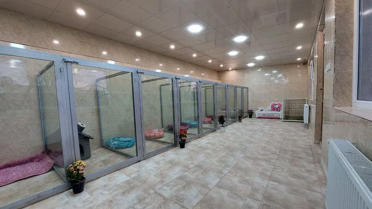 پانسیون سگ طولانی مدت|خدمات پیشه و مهارت|تهران, ایران|دیوار