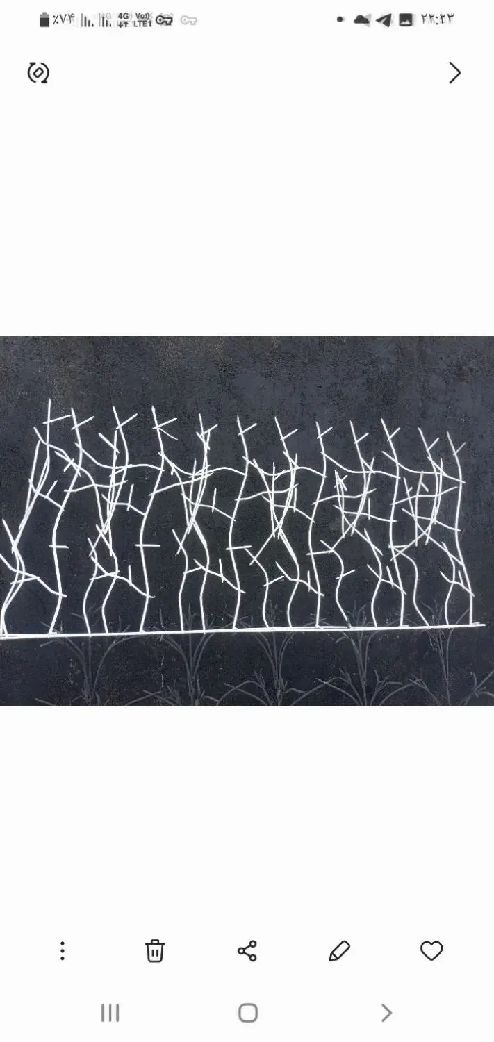 حفاظ روی دیوار|خدمات پیشه و مهارت|مشهد, الهیه|دیوار