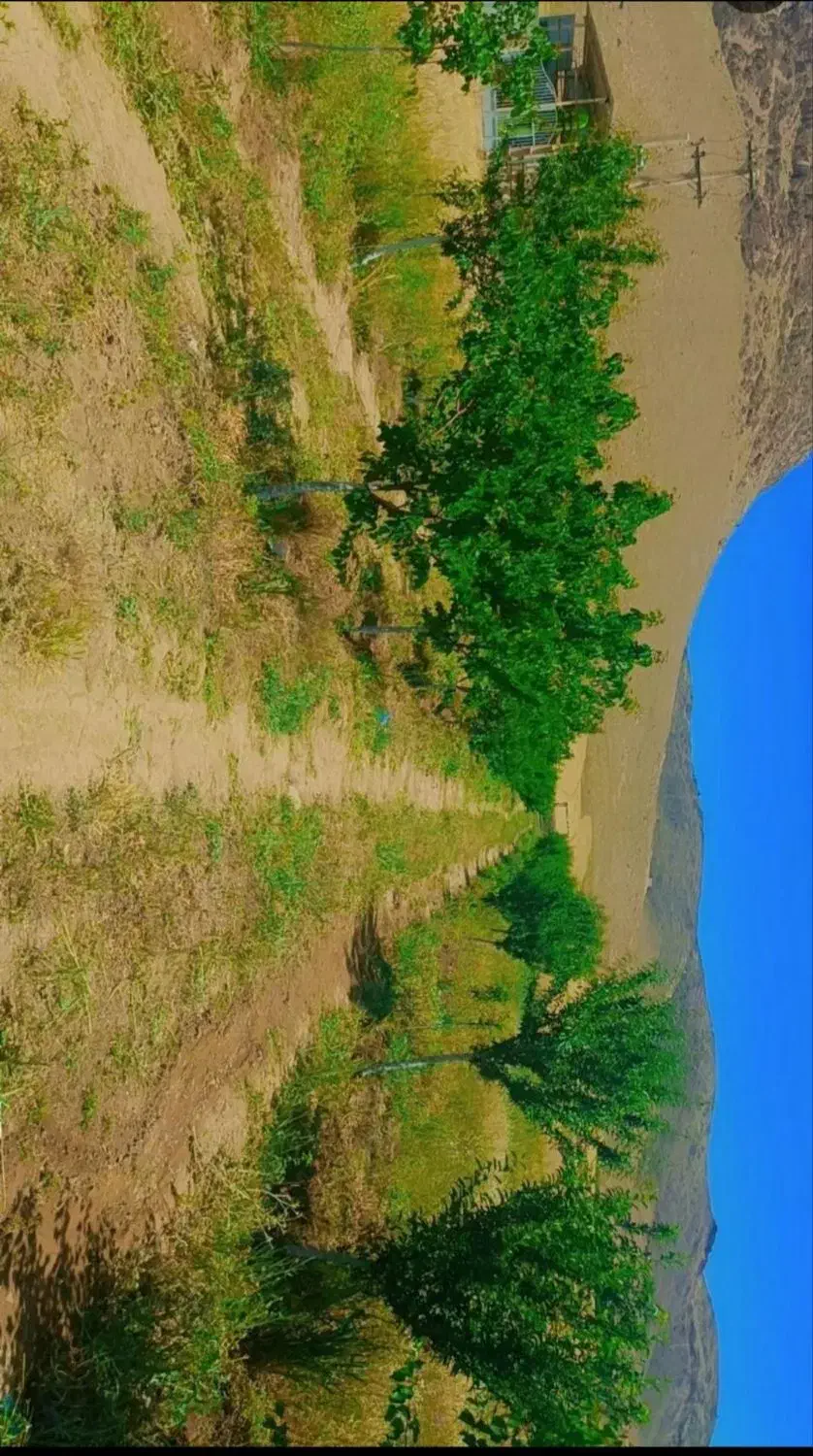 باغ|فروش زمین و ملک کلنگی|دینور, |دیوار