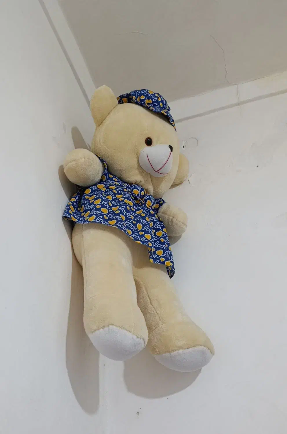 خرس بزرگ‌|اسباب‌‌بازی|هرسین, |دیوار