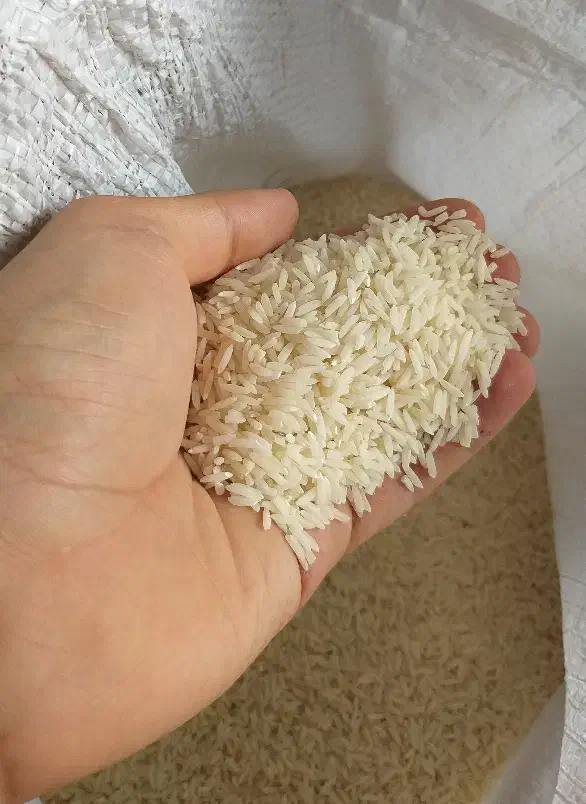 برنج هاشمی درجه یک محصول شالیزار خودمون (گیلان)|خوردنی و آشامیدنی|اندیشه, اندیشه فاز ۳|دیوار