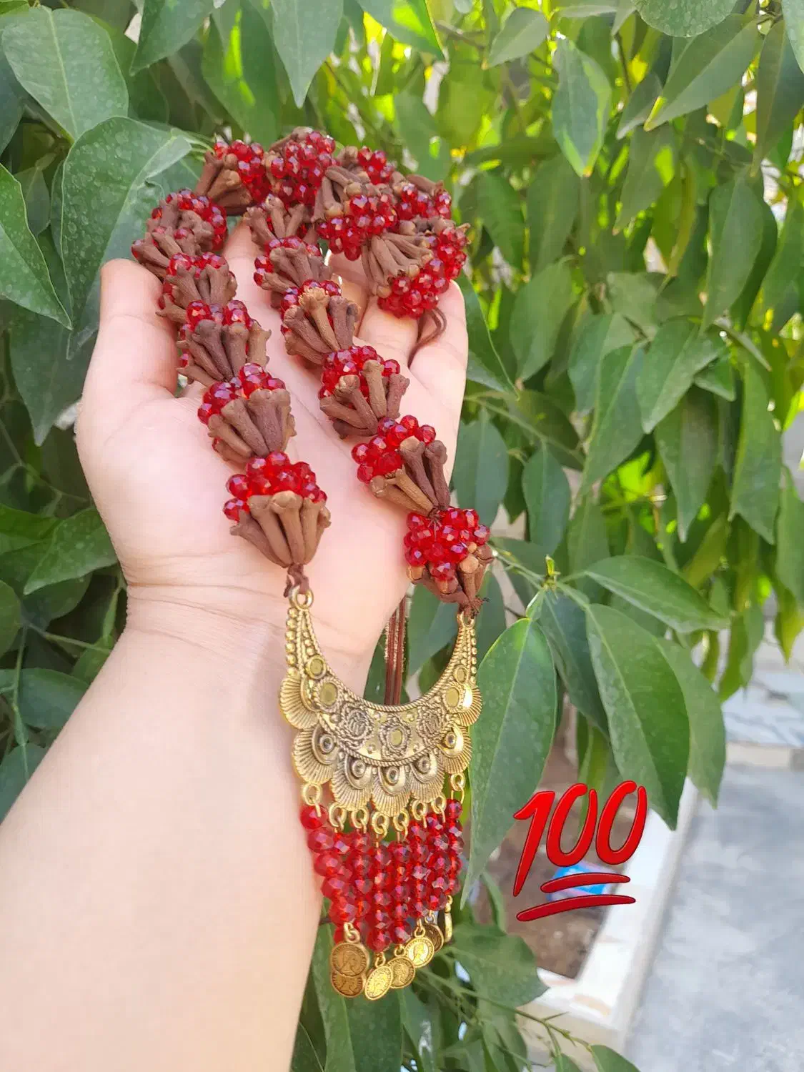 میخک خوش بو|بدلیجات|لردگان, |دیوار