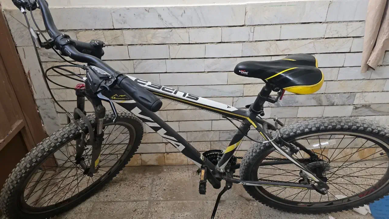 دوچرخه ویوا|دوچرخه، اسکیت، اسکوتر|نجف‌آباد, جامی|دیوار