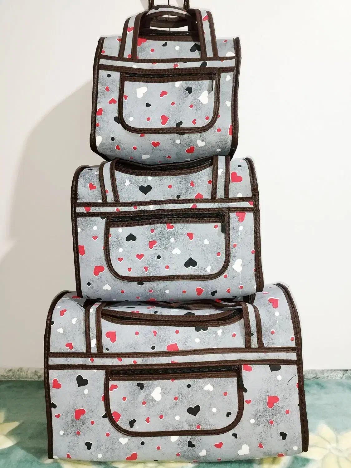 ساک|کیف، کفش، کمربند|همدان, |دیوار