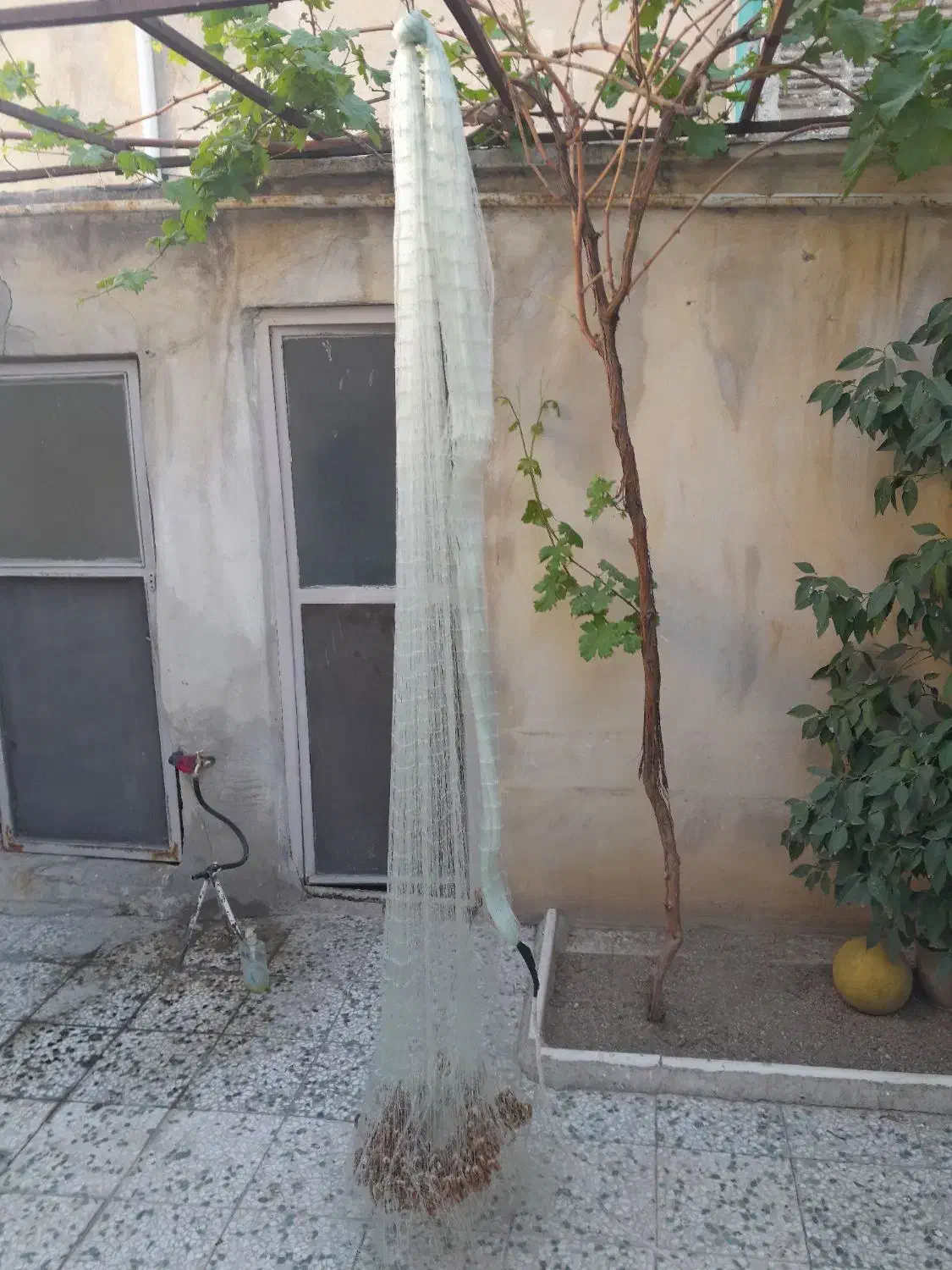 تور|ماهیگیری|خرم‌آباد, |دیوار