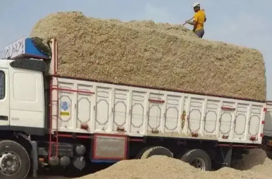 کاه کاه کاه|خدمات باغبانی و درختکاری|برخوار, |دیوار