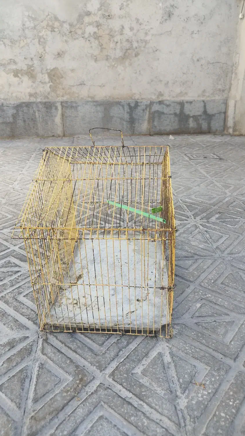 قفس پرنده|لوازم جانبی حیوانات|فردوس (خراسان), |دیوار