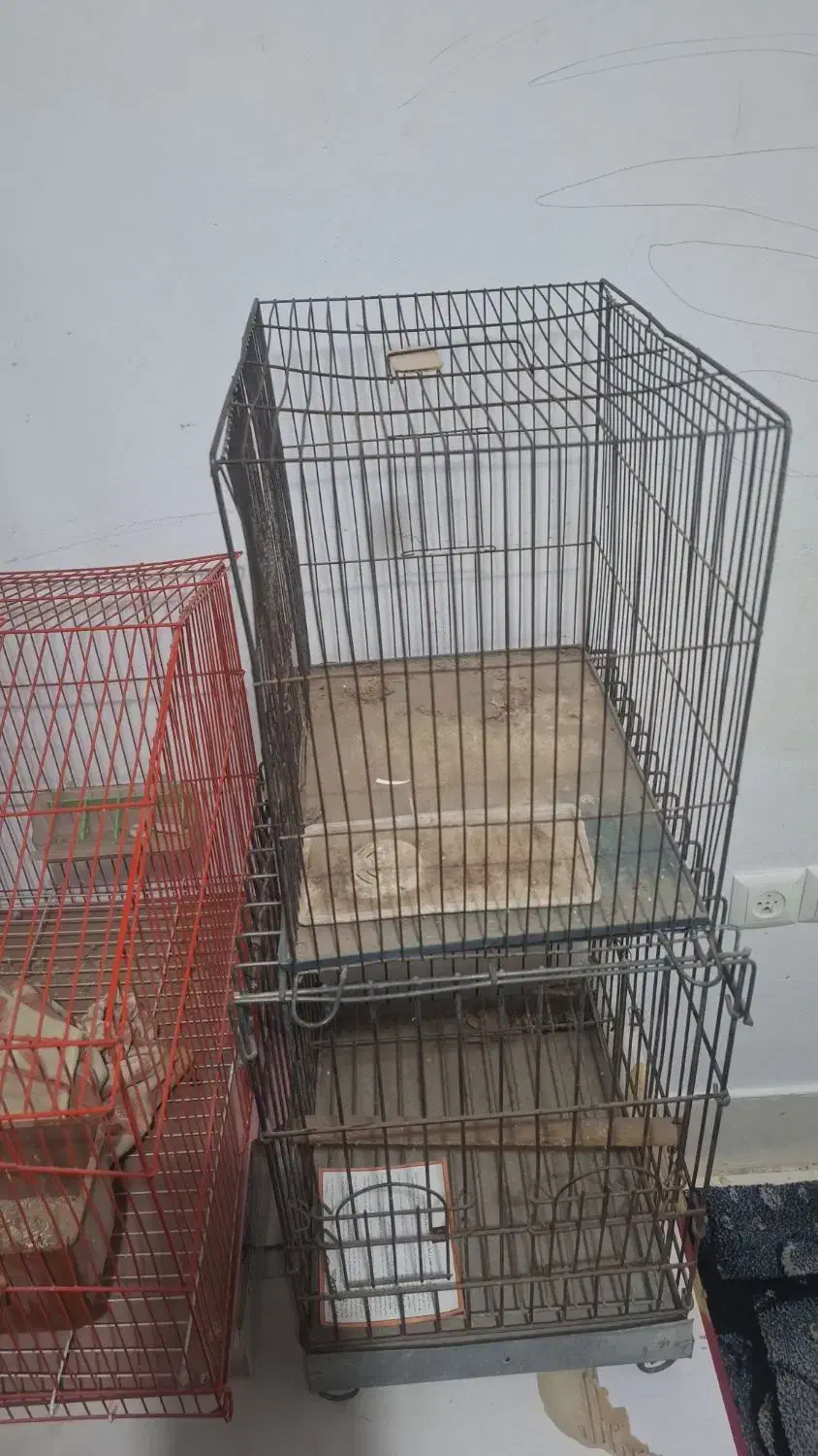 قفس پرنده|لوازم جانبی حیوانات|شهریار, شهریار|دیوار