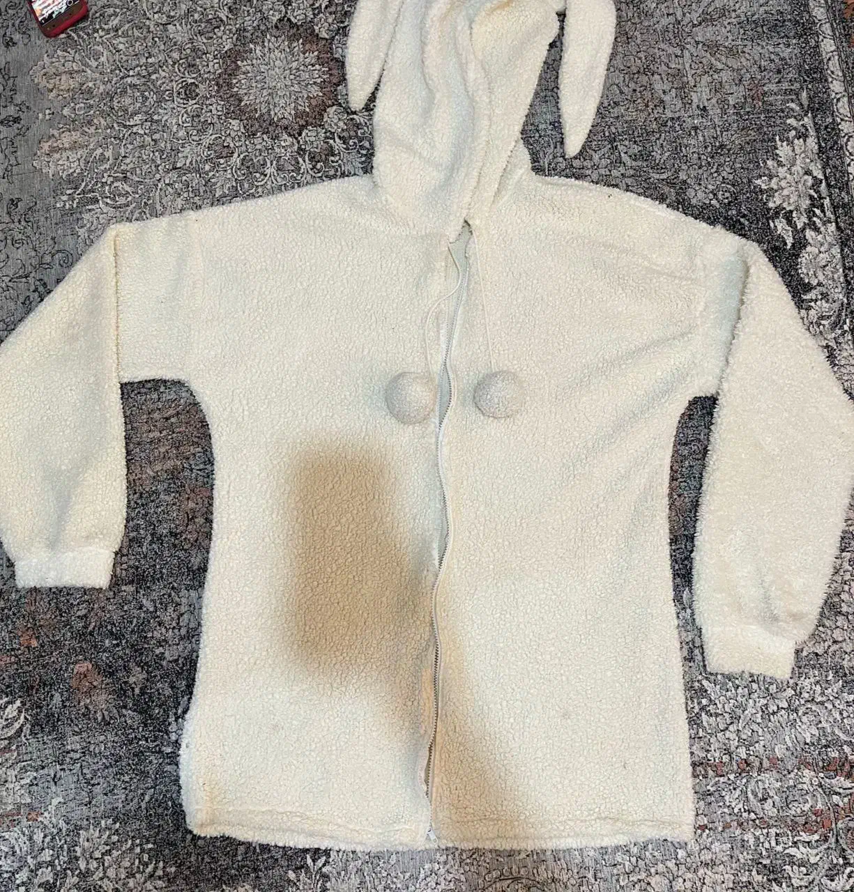 تدی کلاه دار|لباس|بندرعباس, |دیوار