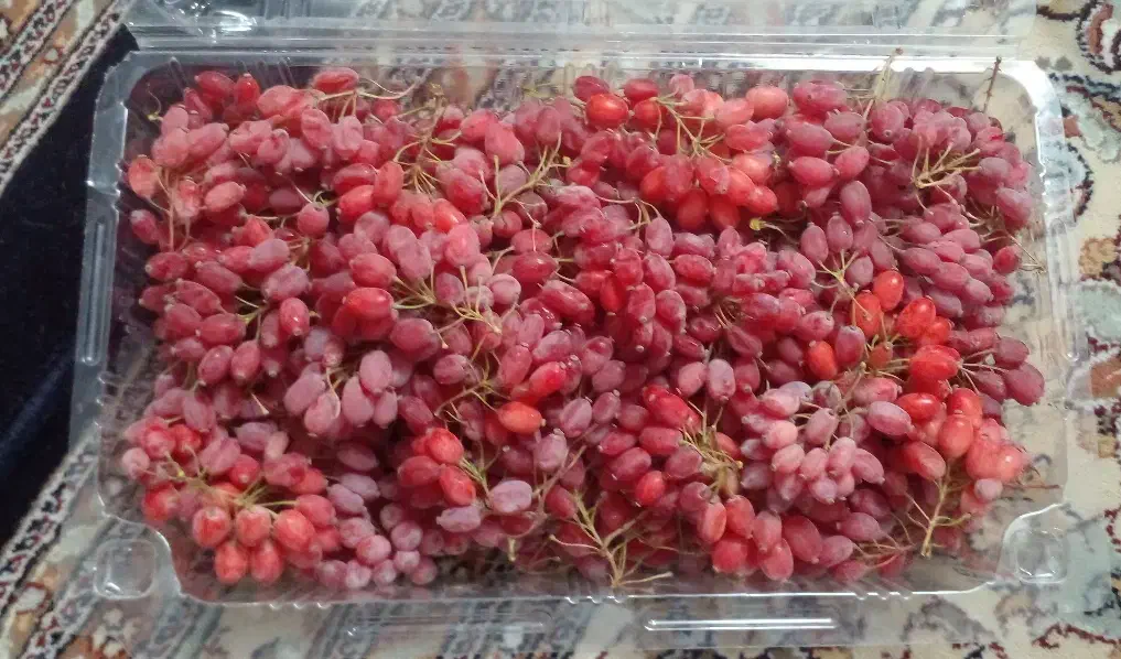 زرشک درجه یک|خوردنی و آشامیدنی|گزیک, |دیوار