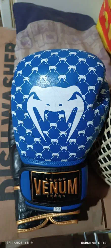 دستکش بوکس|تجهیزات ورزشی|بروجرد, |دیوار