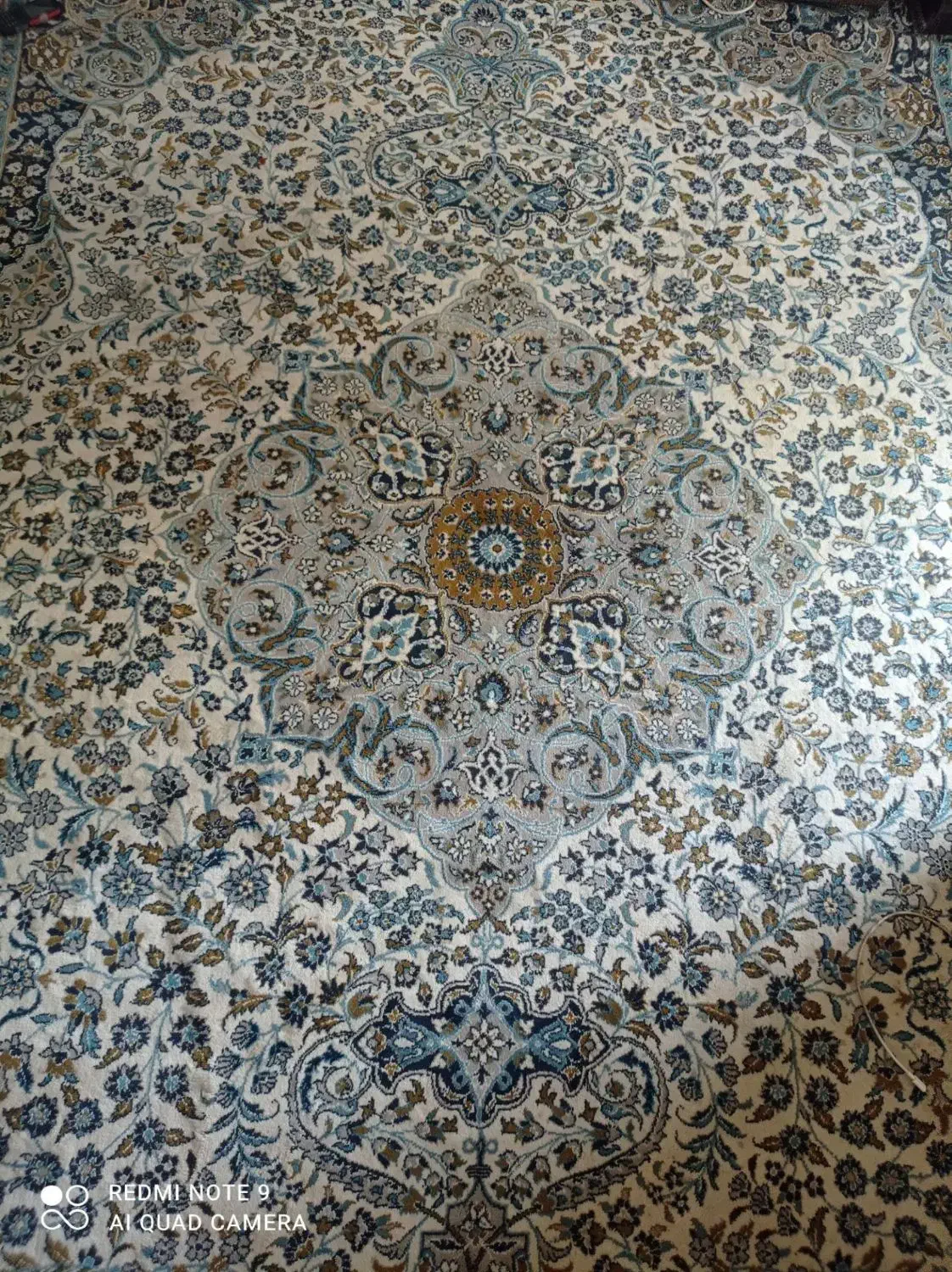فرش|فرش|شیراز, دباغ خانه|دیوار