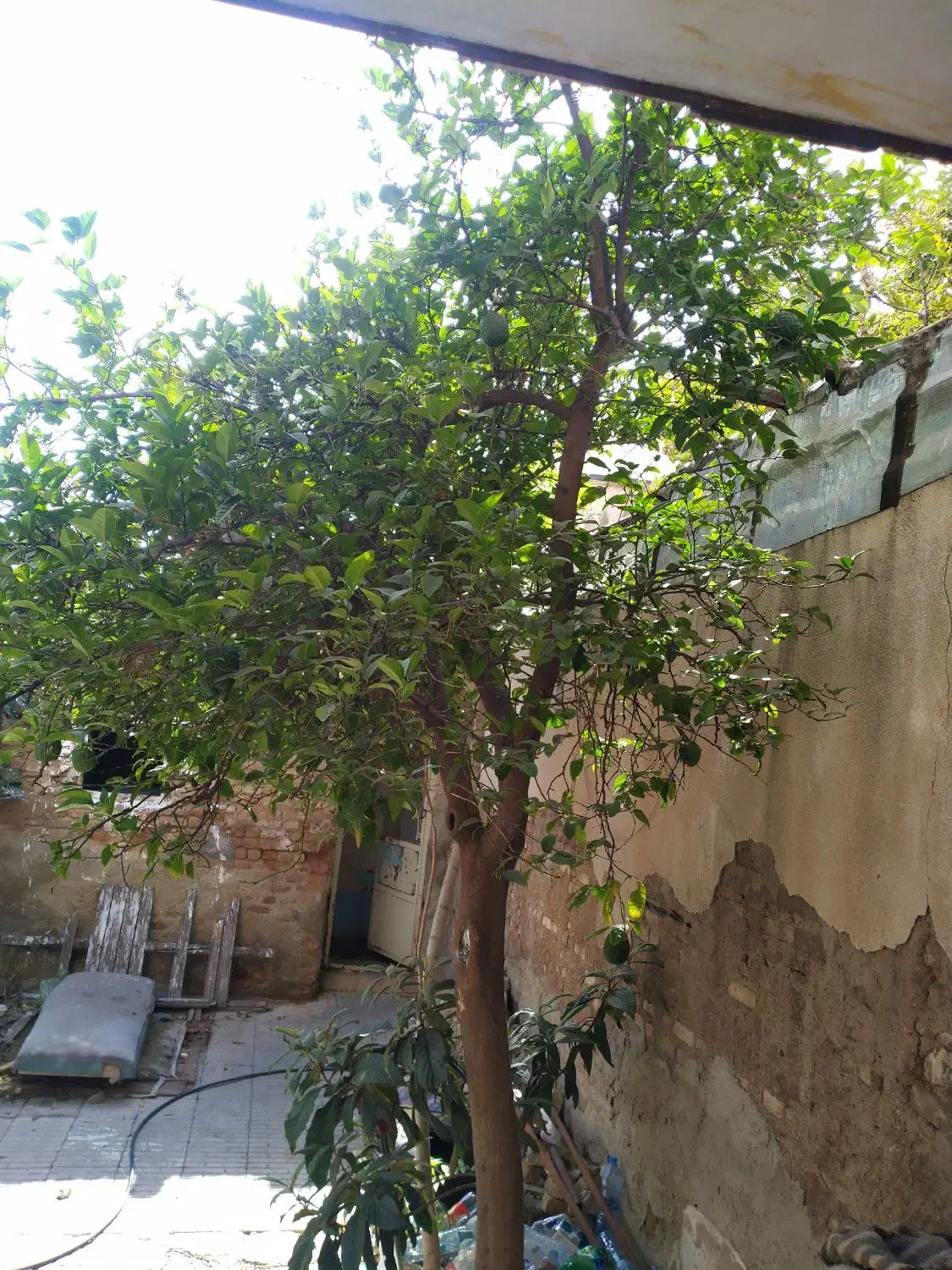 فروش زمین صندوقی با مجوز اماده ساخت|فروش زمین و ملک کلنگی|شیراز, دست خضر|دیوار