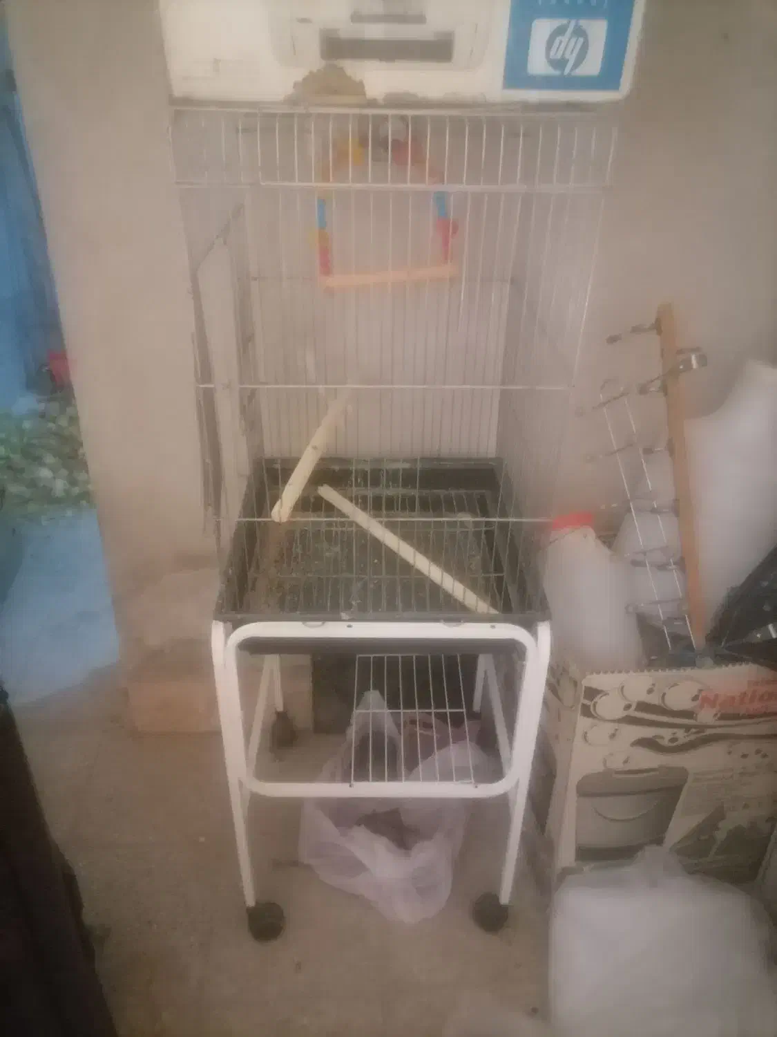 قفس بزرگ|پرنده|یزد, |دیوار