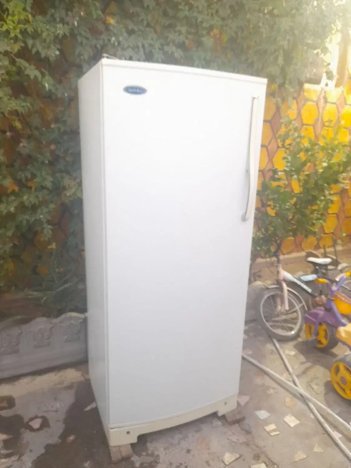 فریزر|یخچال و فریزر|راور, |دیوار