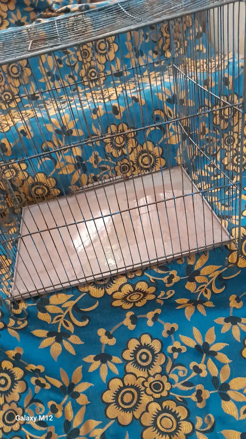 دو عدد قفس|لوازم جانبی حیوانات|قم, شهر قائم|دیوار