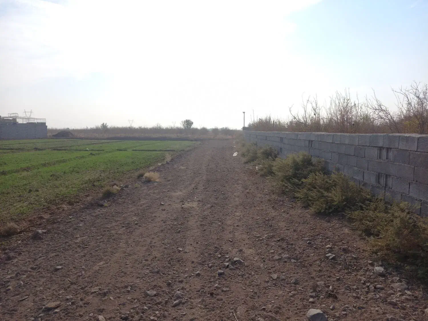 زمین خانه باغ شهرمشکات|فروش زمین و ملک کلنگی|کاشان, مشکات|دیوار