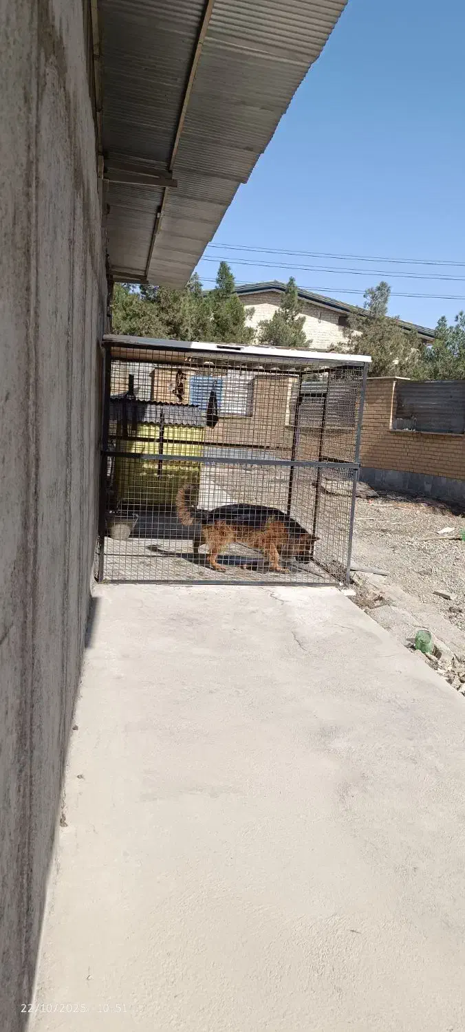 قفس سگ|لوازم جانبی حیوانات|رباطکریم, شهرک صنعتی نصیرآباد|دیوار