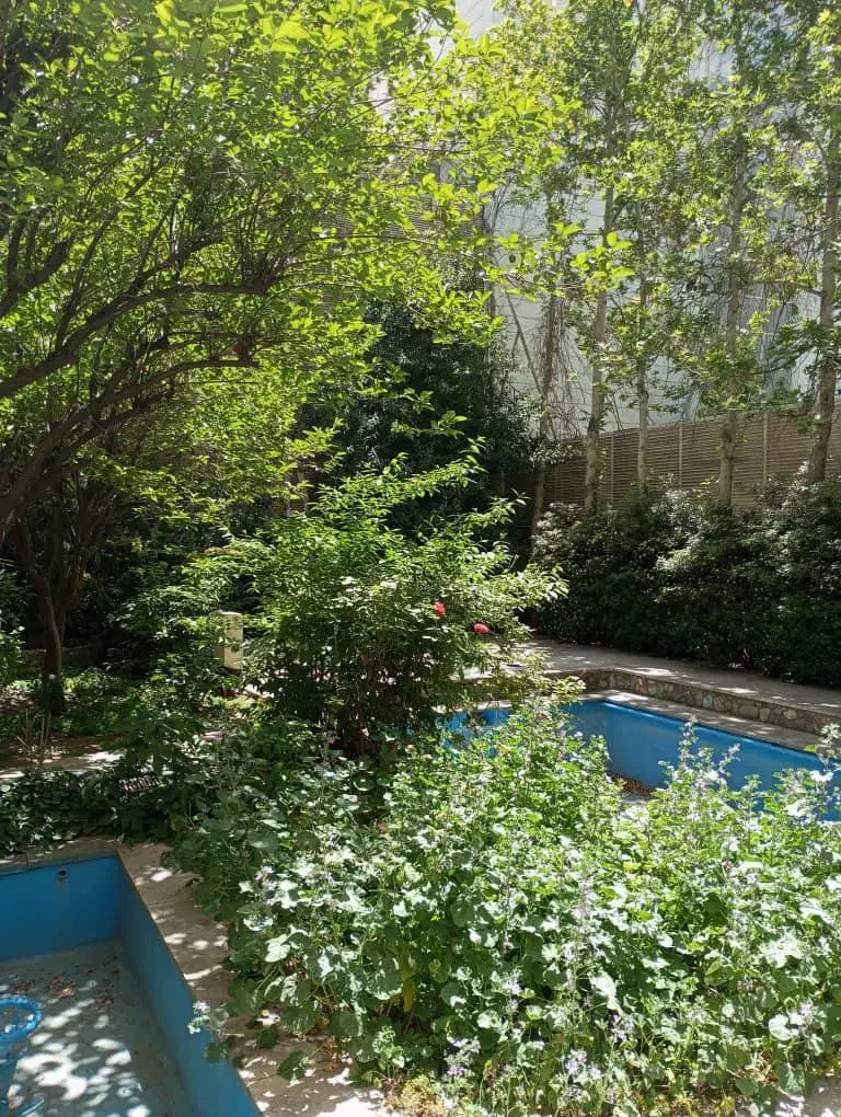 ۱۶۰متر با ۱۰۰ متر حیاط مستقل/مدرن/تاپ لوکیشن ولنجک|اجارهٔ آپارتمان|تهران, ولنجک|دیوار