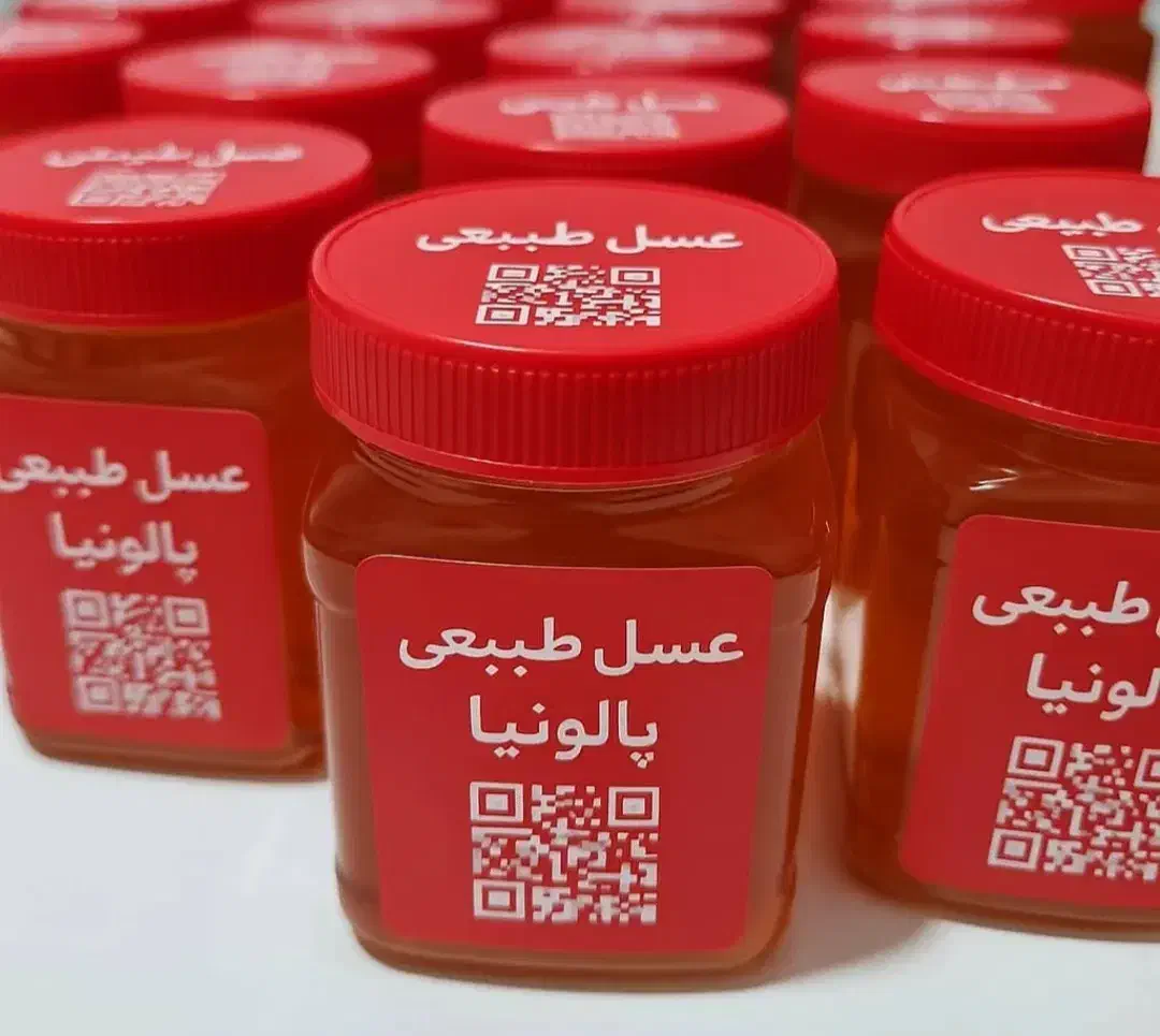 عسل ارگانیک درخت پالونیا|خوردنی و آشامیدنی|تهران, والفجر (افسریه)|دیوار