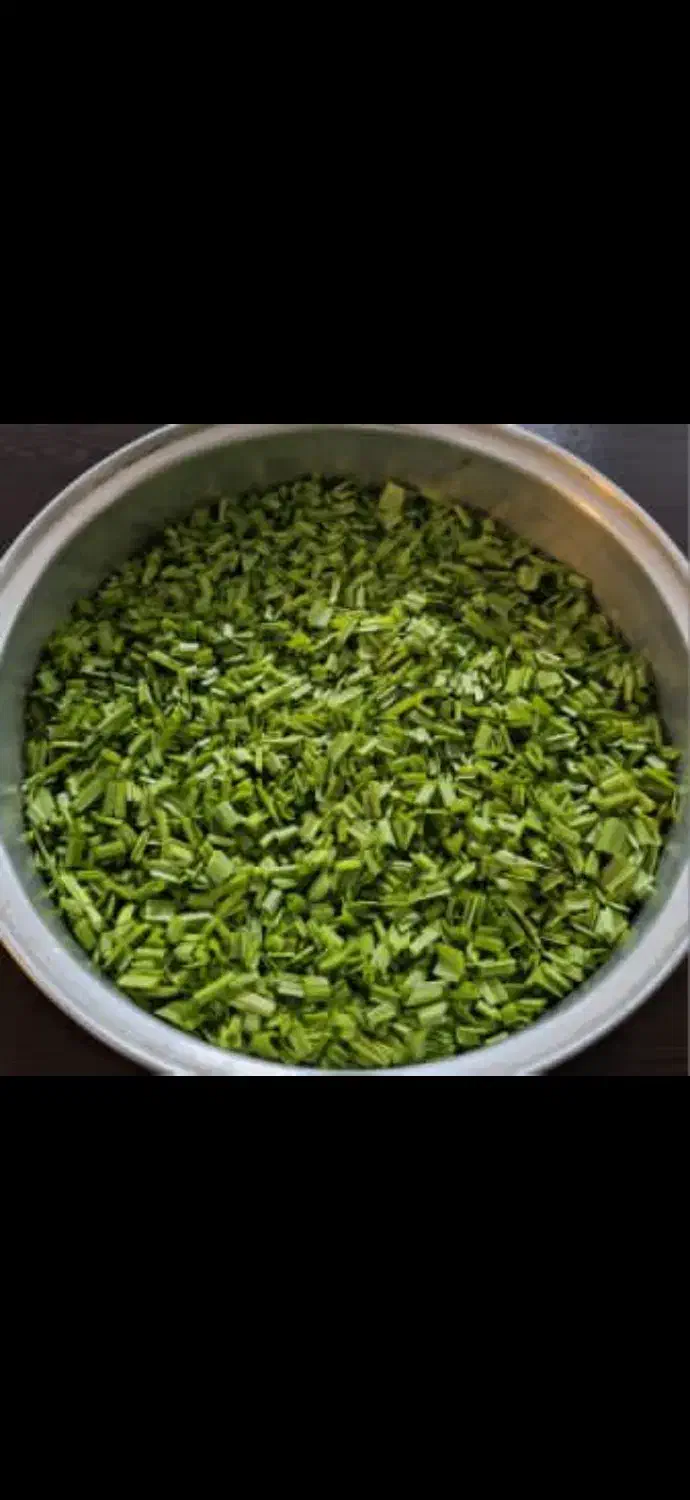 برگ سیر تازه|خوردنی و آشامیدنی|رشت, پیرکلاچای|دیوار