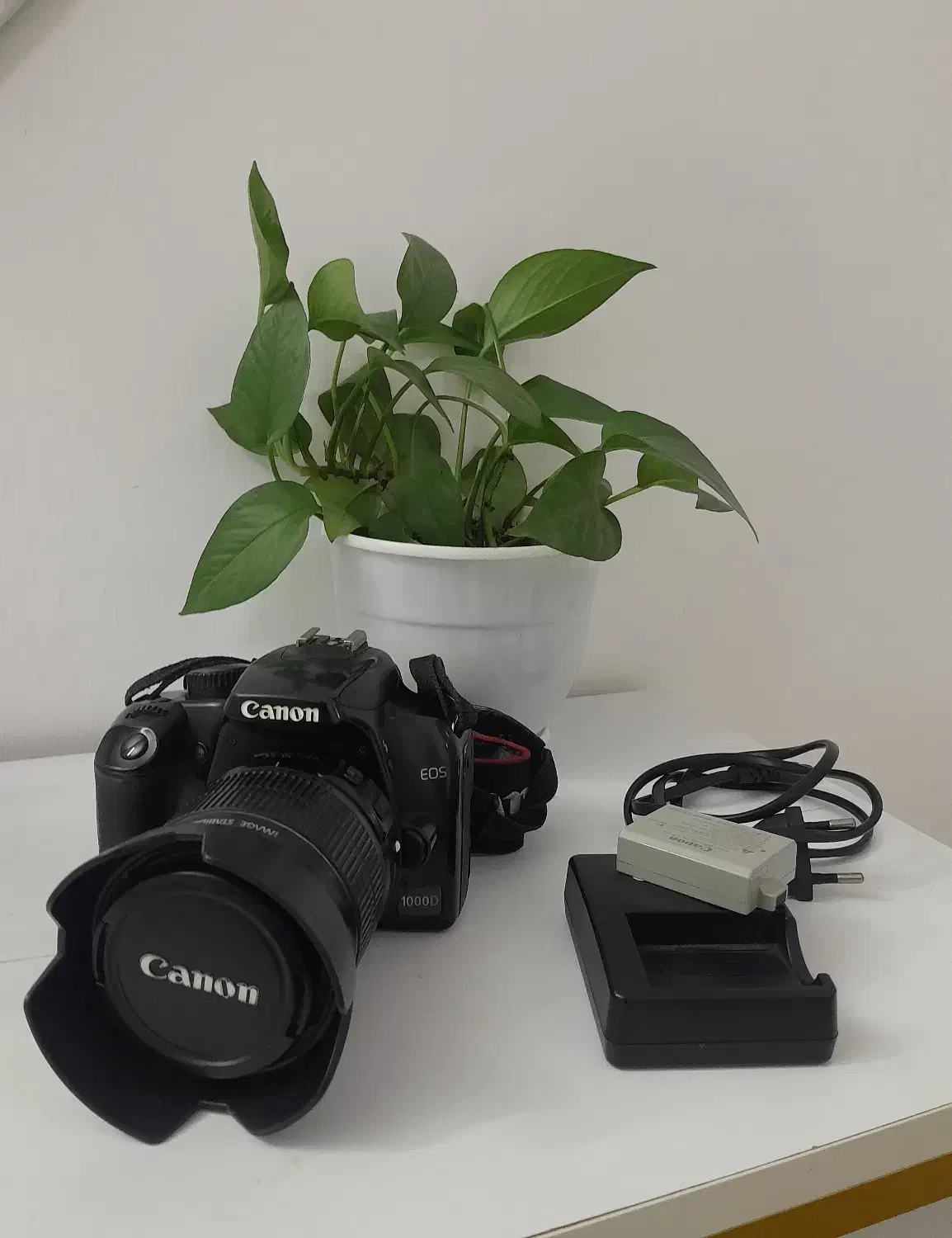 دوربین عکاسی ۱۰۰۰d|دوربین عکاسی و فیلم‌برداری|رشت, فلسطین|دیوار