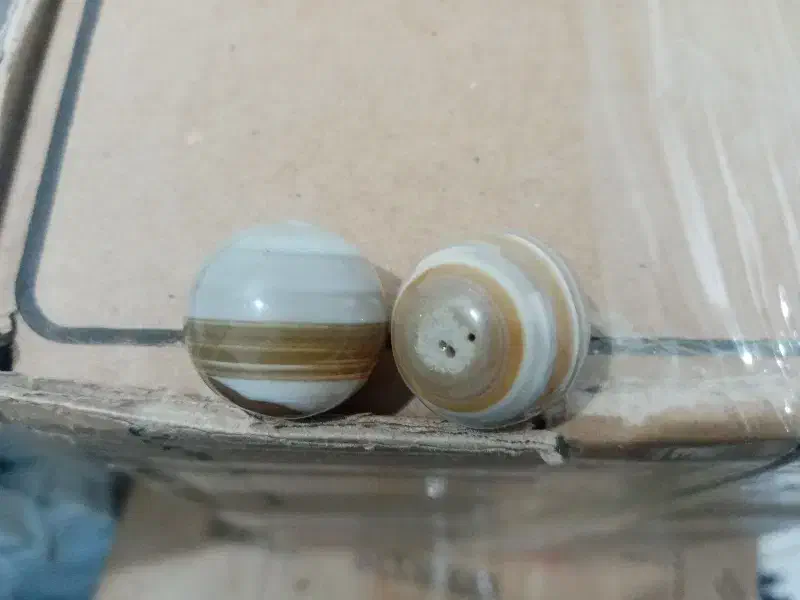 سنگ|جواهرات|اهواز, شهرک توسعه نیشکر|دیوار