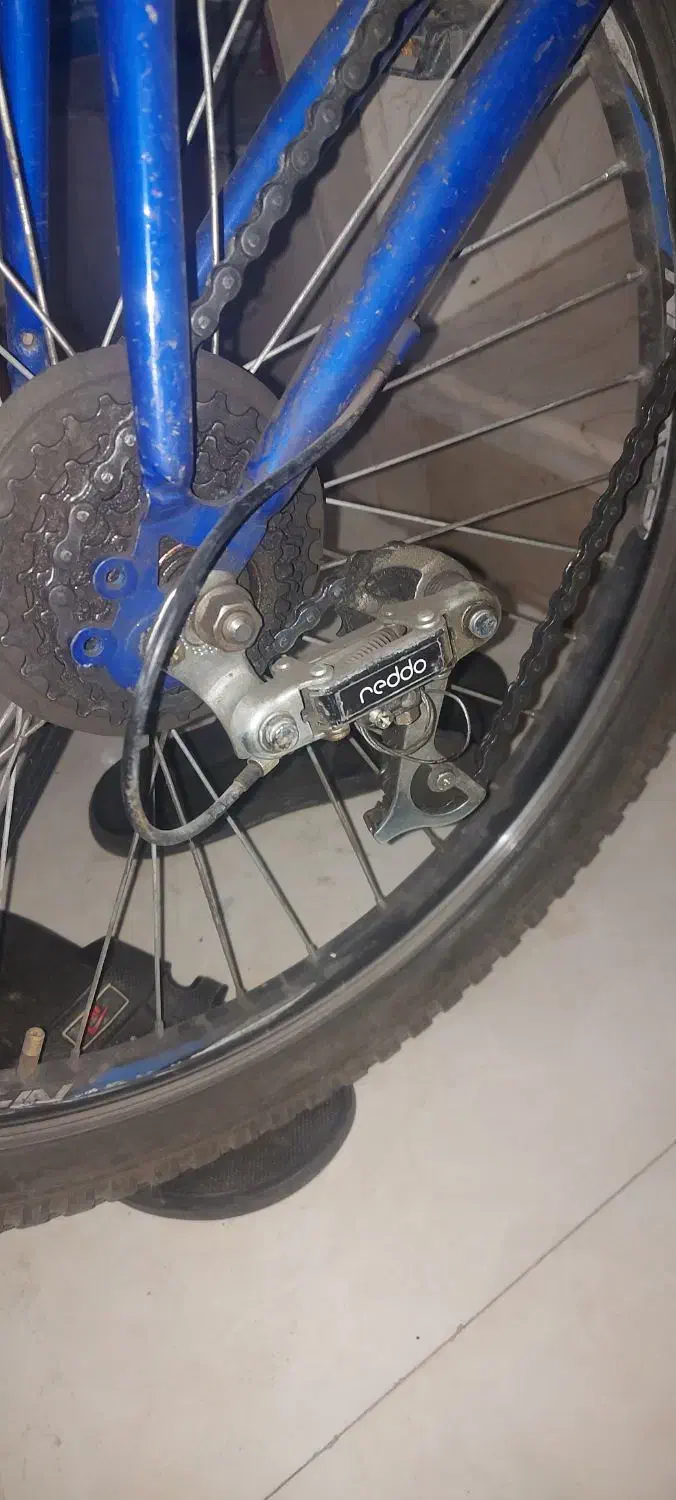 دوچرخه ۲۴ ناکسییوس|دوچرخه، اسکیت، اسکوتر|جوانرود, |دیوار