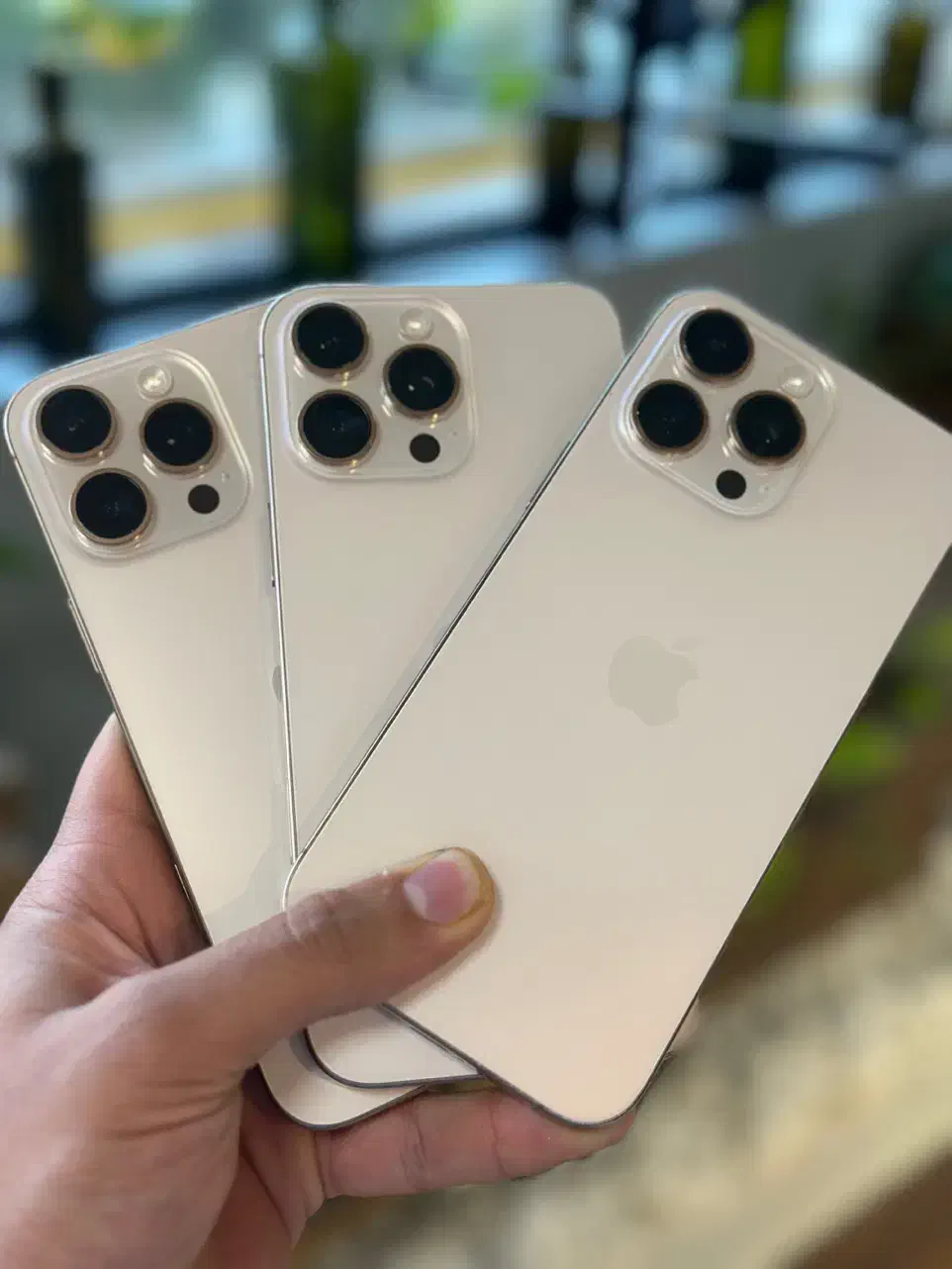 16promax zaa|موبایل|مشهد, احمدآباد|دیوار