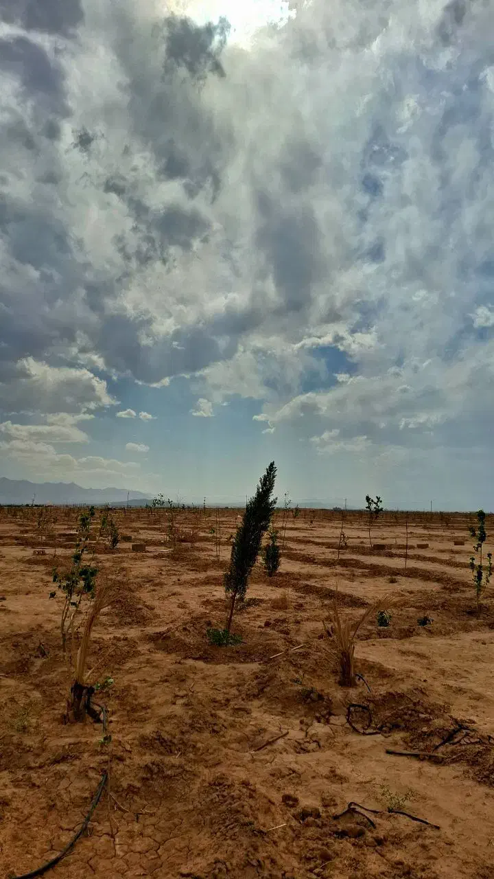زمین ۷۵۰ متری،باغی اقساطی|فروش زمین و ملک کلنگی|شاهین‌شهر, شهرک میلاد|دیوار