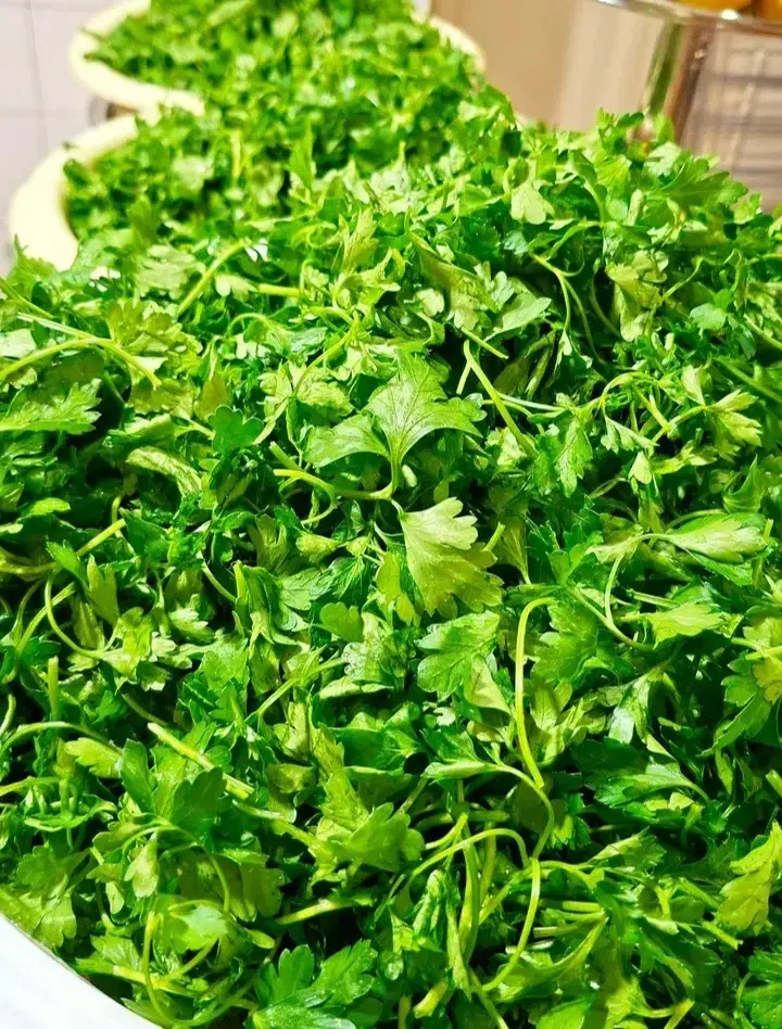 سبزی قرمه و ترش واش گیلانی بادنجان گردو پیاز سرخ|خوردنی و آشامیدنی|لاهیجان, کوی زمانی|دیوار