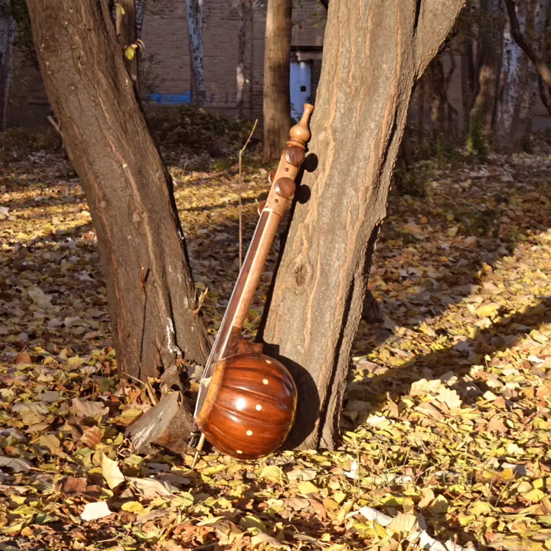 کمانچه پشت بسته الگو دو خم|سازهای سنتی|تهران, فردوسی|دیوار