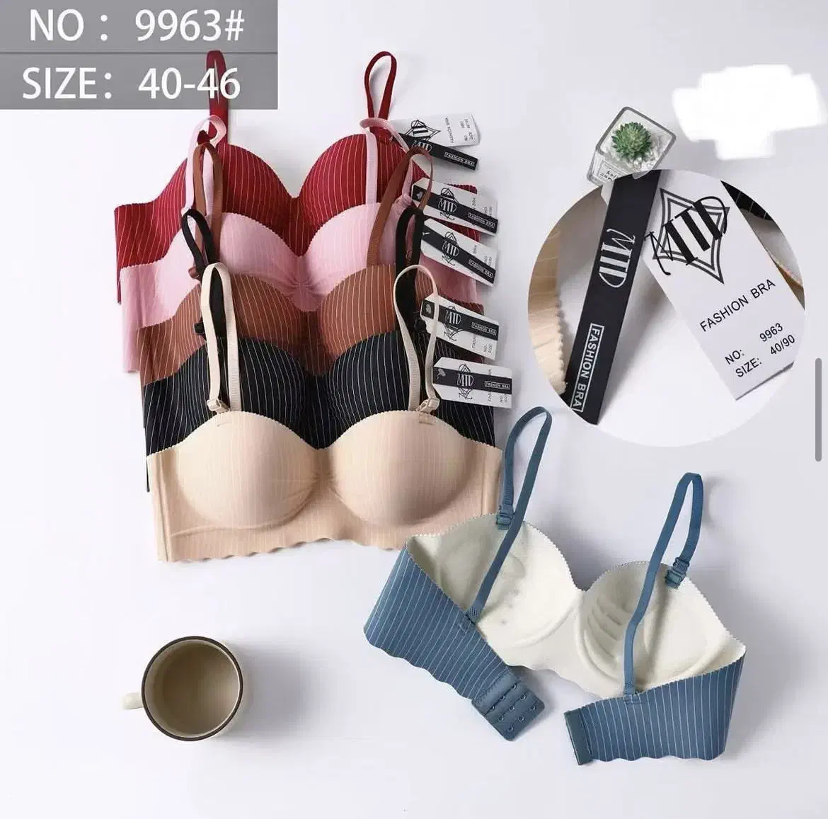 لباس زیر زنانه و دخترانه|لباس|شیراز, کوشک میدان|دیوار