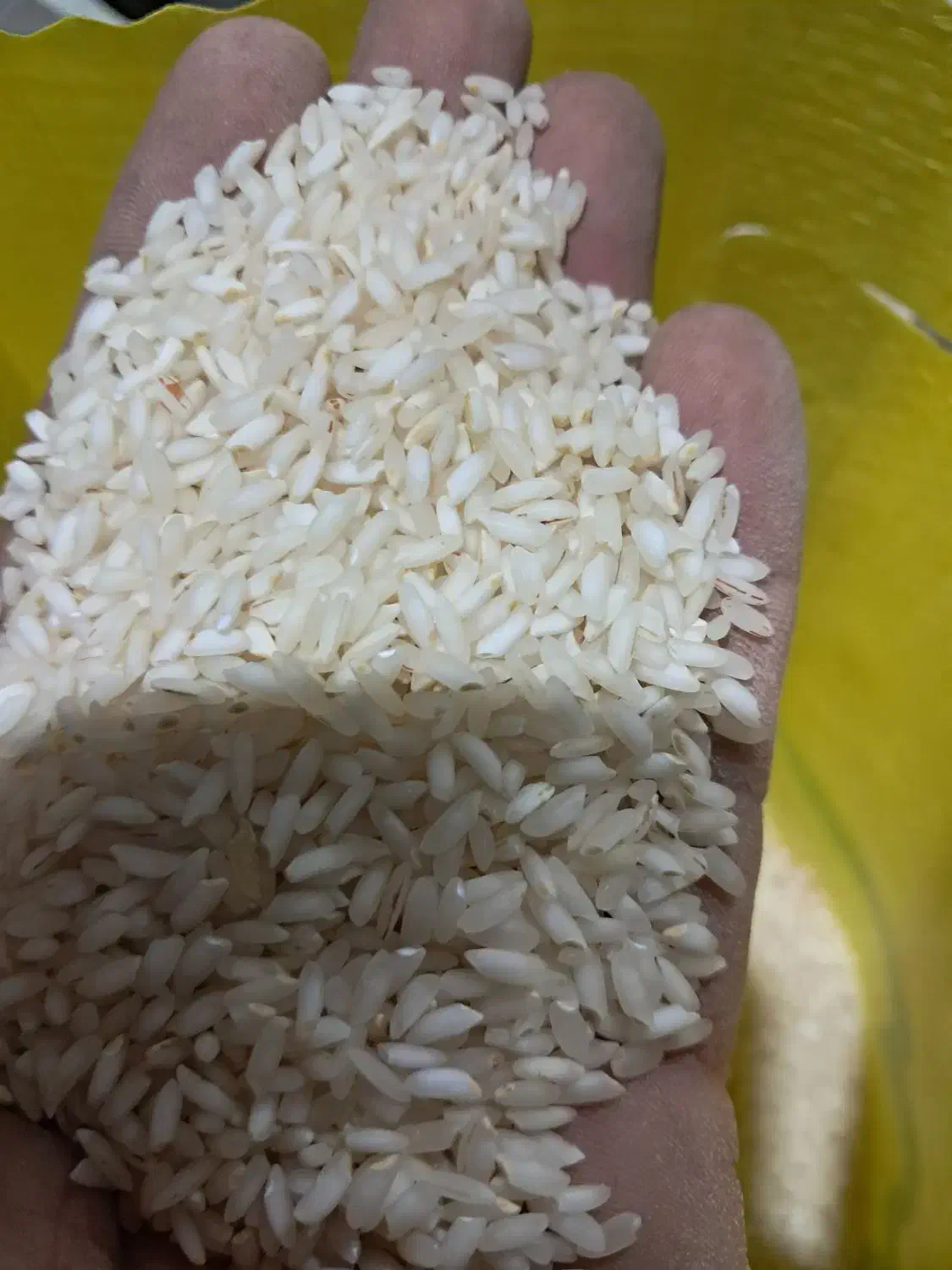 فروش انواع برنج عنبربو درجه یک|خوردنی و آشامیدنی|مشهد, بهشت|دیوار