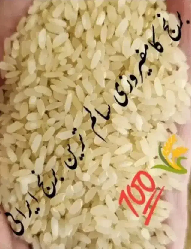 برنج کامفیروزی  درجه یک|خوردنی و آشامیدنی|شیراز, ملاصدرا|دیوار
