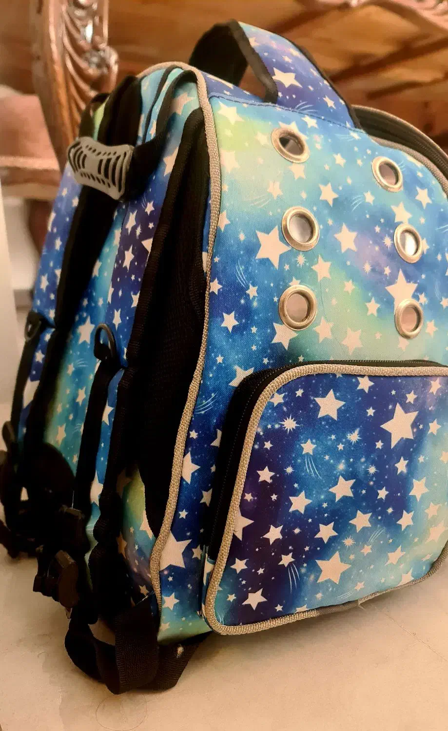 کیف گربه و سگ و پرنده|لوازم جانبی حیوانات|قم, پردیسان|دیوار