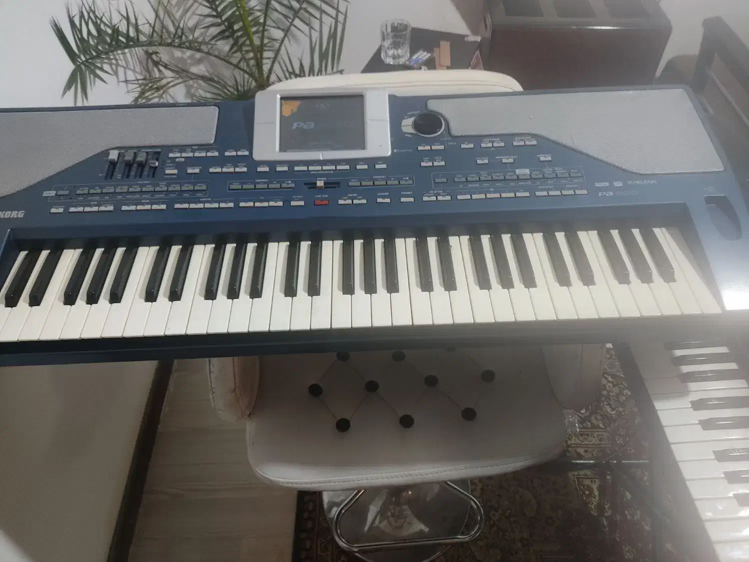 اورگ. 800.   کورگ.  رم 64|پیانو، کیبورد، آکاردئون|ارومیه, |دیوار