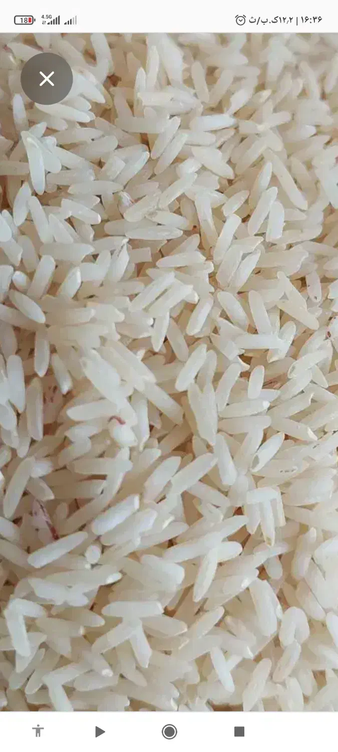 برنج دم سیاه لرستان|خوردنی و آشامیدنی|اندیمشک, |دیوار