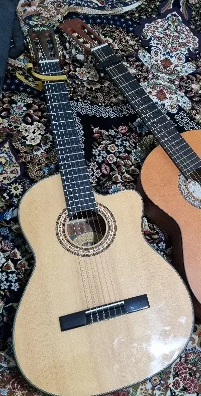 گیتار واشبرن|گیتار، بیس، امپلیفایر|ملارد, |دیوار